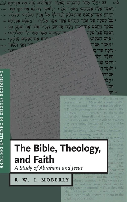 The Bible, Theology, and Faith: A Study of Abraham and Jesus: 5 (Cambridge Studies in Christian Doctrine, Series Number 5)
