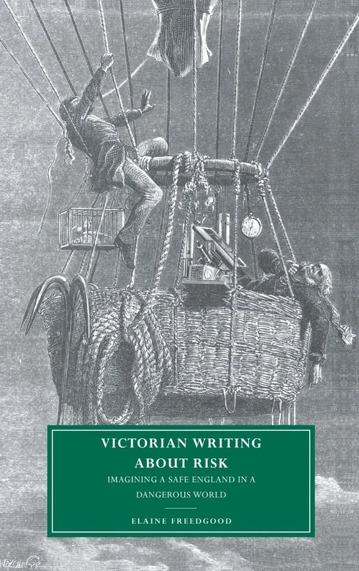 Victorian Writing about Risk: Imagining a Safe England in a Dangerous World: 28 (Cambridge Studies in Nineteenth-Century Literature and Culture, Series Number 28)