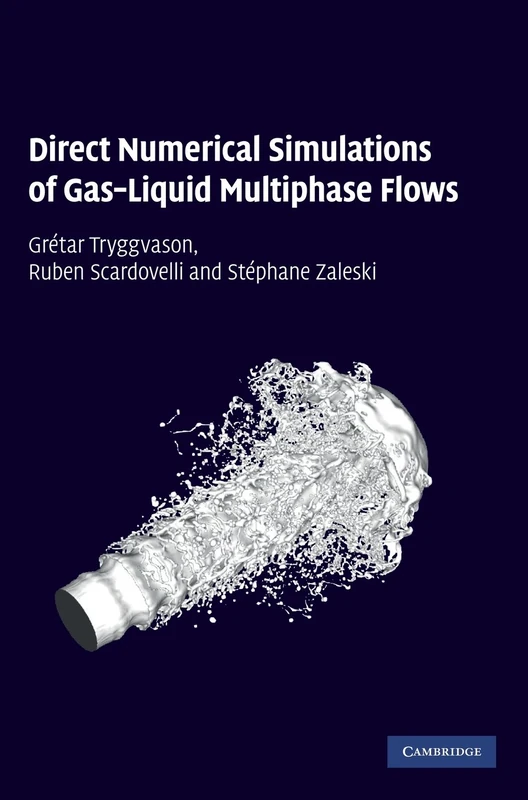 Direct Numerical Simulations of GasLiquid Multiphase Flows