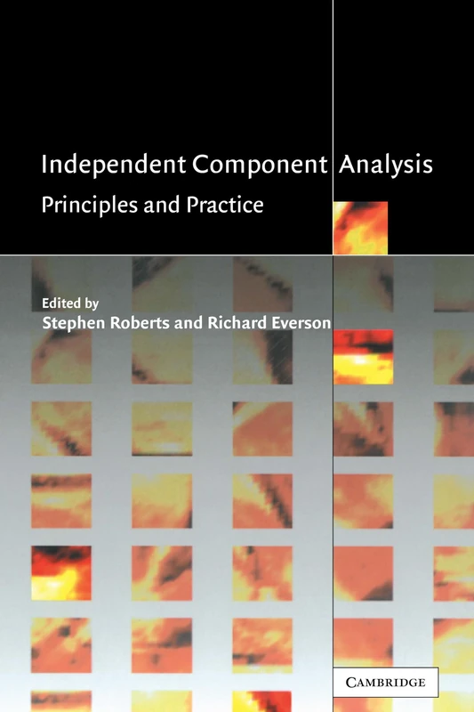 Independent Component Analysis: Principles and Practice