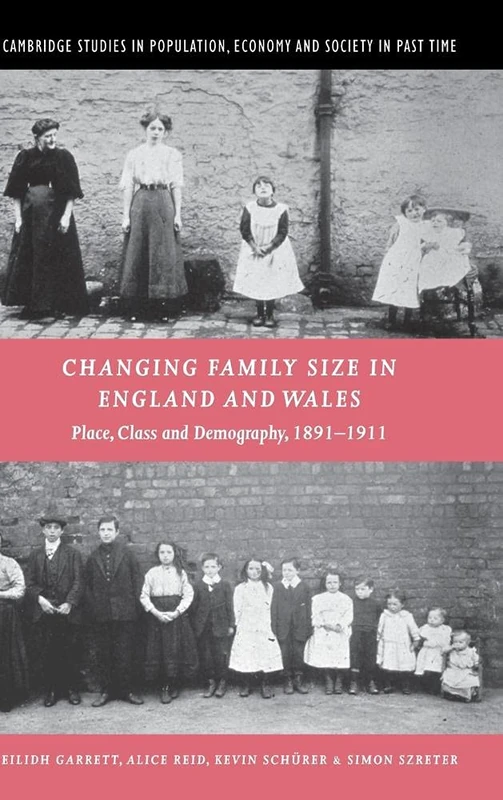 Changing Family Size in England and Wales: Place, Class and Demography, 1891–1911: 36 (Cambridge Studies in Population, Economy and Society in Past Time, Series Number 36)