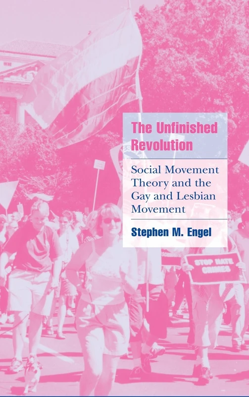 The Unfinished Revolution: Social Movement Theory and the Gay and Lesbian Movement (Cambridge Cultural Social Studies)