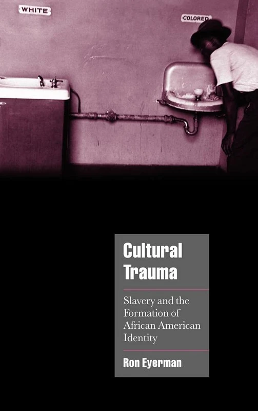 Cultural Trauma: Slavery and the Formation of African American Identity (Cambridge Cultural Social Studies) - Image 1