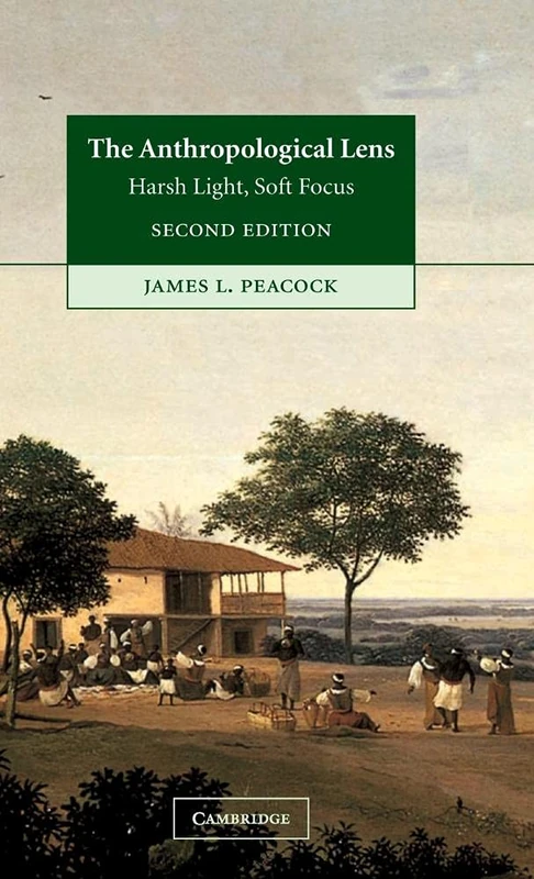 The Anthropological Lens: Harsh Light, Soft Focus