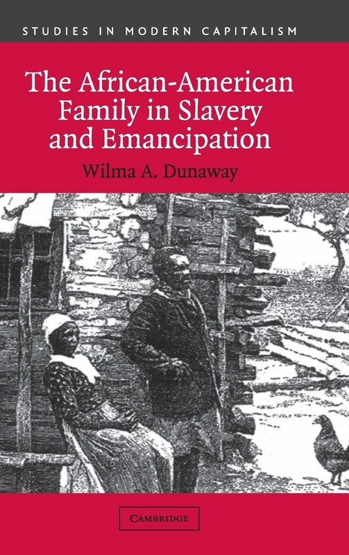 The African-American Family in Slavery and Emancipation (Studies in Modern Capitalism)
