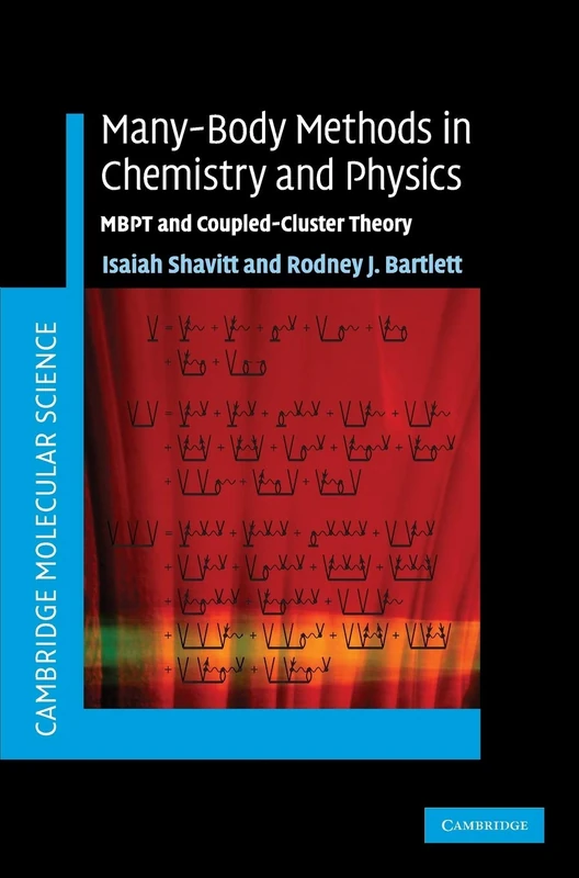 Many-Body Methods in Chemistry and Physics: MBPT and Coupled-Cluster Theory (Cambridge Molecular Science)