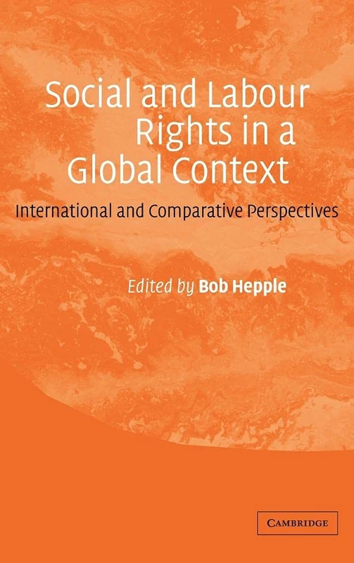 Social and Labour Rights in a Global Context: International and Comparative Perspectives
