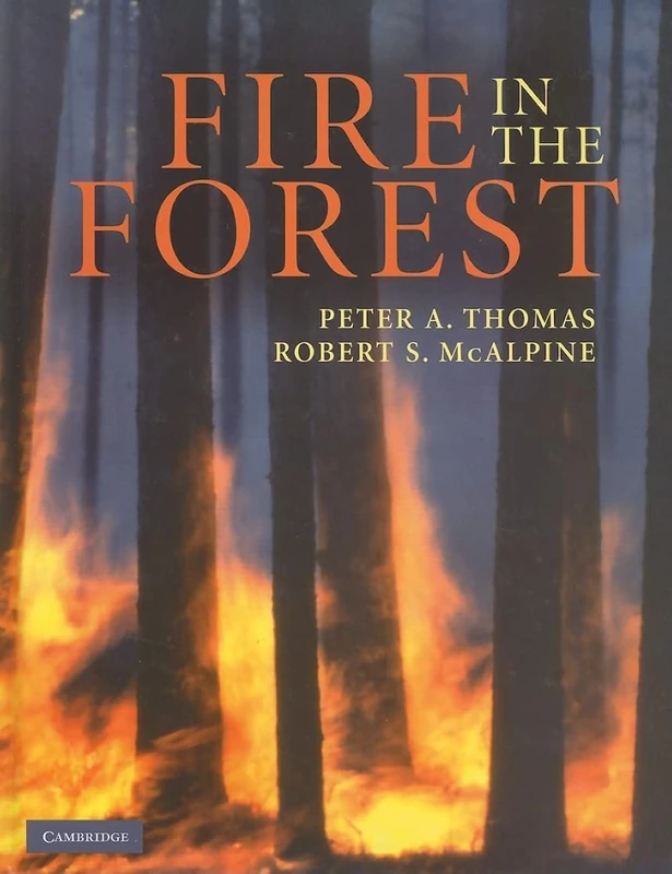 Fire in the Forest - Image 1