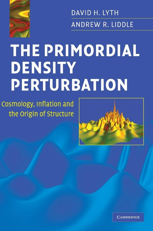 The Primordial Density Perturbation