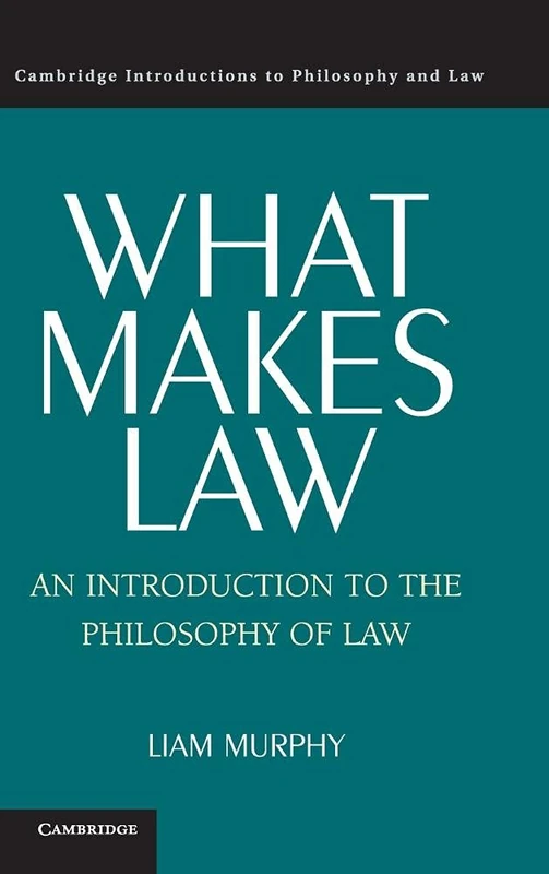 What Makes Law: An Introduction to the Philosophy of Law (Cambridge Introductions to Philosophy and Law)