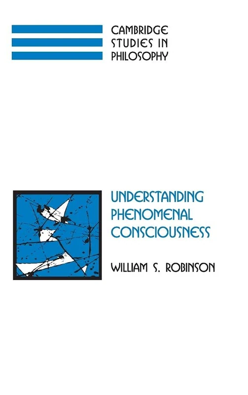 Understanding Phenomenal Consciousness (Cambridge Studies in Philosophy)