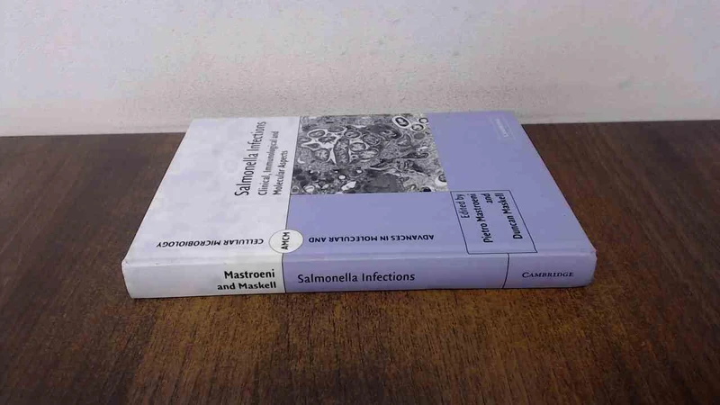 Salmonella Infections: Clinical, Immunological and Molecular Aspects: 9 (Advances in Molecular and Cellular Microbiology, Series Number 9) - Image 1