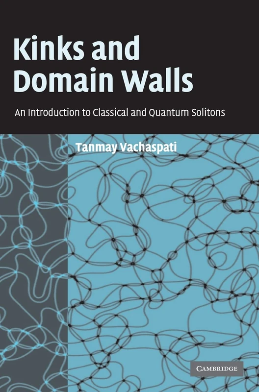 Kinks and Domain Walls: An Introduction to Classical and Quantum Solitons - Image 1