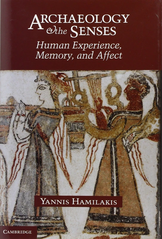 Archaeology and the Senses: Human Experience, Memory, and Affect (Topics in Contemporary Archaeology)