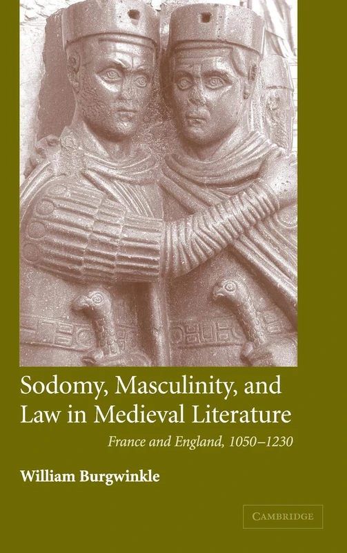 Sodomy, Masculinity and Law in Medieval Literature: France and England, 1050–1230: 51 (Cambridge Studies in Medieval Literature, Series Number 51)