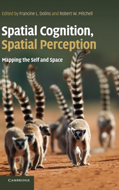 Spatial Cognition, Spatial Perception: Mapping the Self and Space