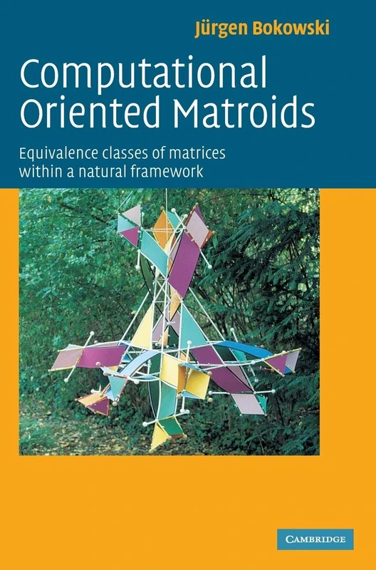 Computational Oriented Matroids: Equivalence Classes of Matrices within a Natural Framework