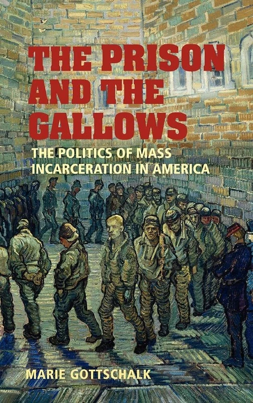 The Prison and the Gallows: The Politics of Mass Incarceration in America (Cambridge Studies in Criminology)