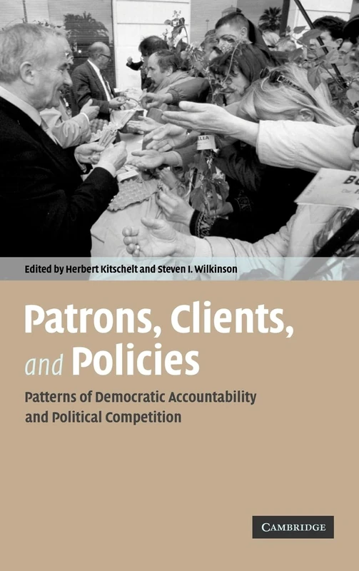 Patrons, Clients and Policies: Patterns of Democratic Accountability and Political Competition