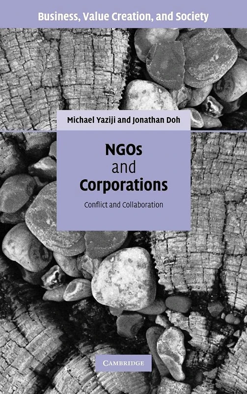 NGOs and Corporations: Conflict and Collaboration (Business, Value Creation, and Society)