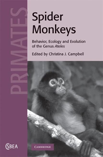Spider Monkeys: Behavior, Ecology and Evolution of the Genus Ateles: 55 (Cambridge Studies in Biological and Evolutionary Anthropology, Series Number 55)