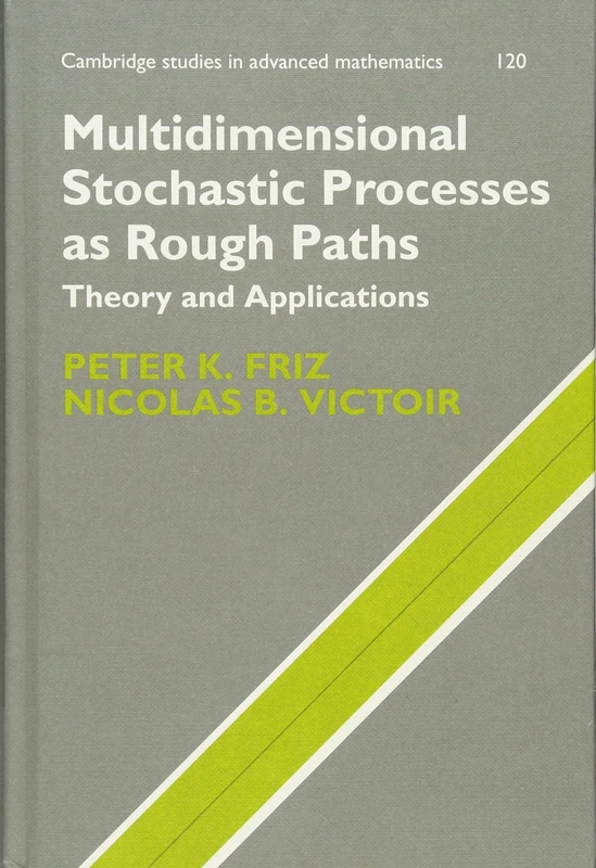 Multidimensional Stochastic Processes as Rough Paths: Theory and Applications: 120 (Cambridge Studies in Advanced Mathematics, Series Number 120)
