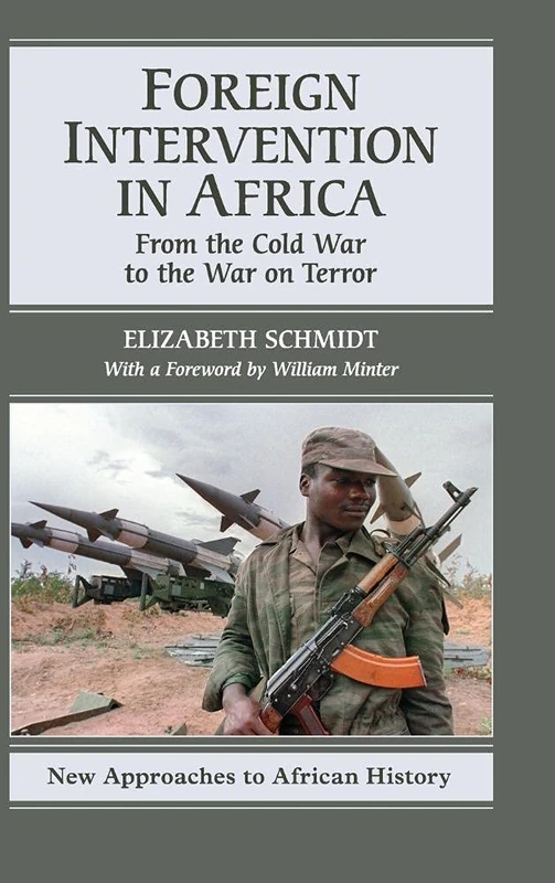 Foreign Intervention in Africa: From the Cold War to the War on Terror: 7 (New Approaches to African History, Series Number 7) - Image 1