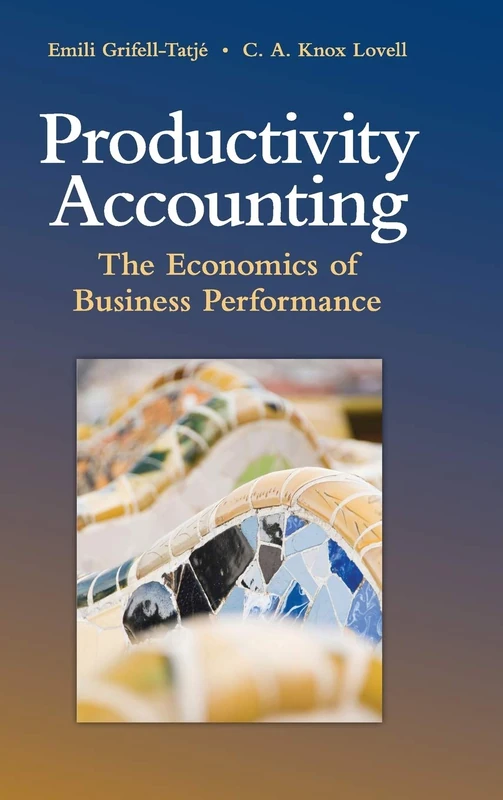 Productivity Accounting: The Economics of Business Performance