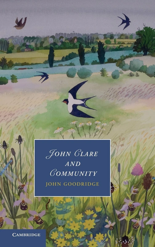 John Clare and Community: 96 (Cambridge Studies in Romanticism, Series Number 96)