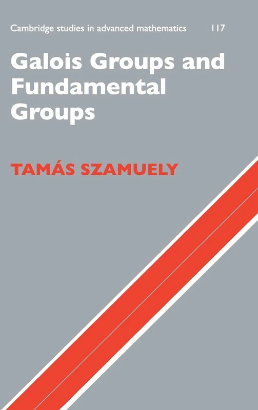 Galois Groups and Fundamental Groups: 117 (Cambridge Studies in Advanced Mathematics)