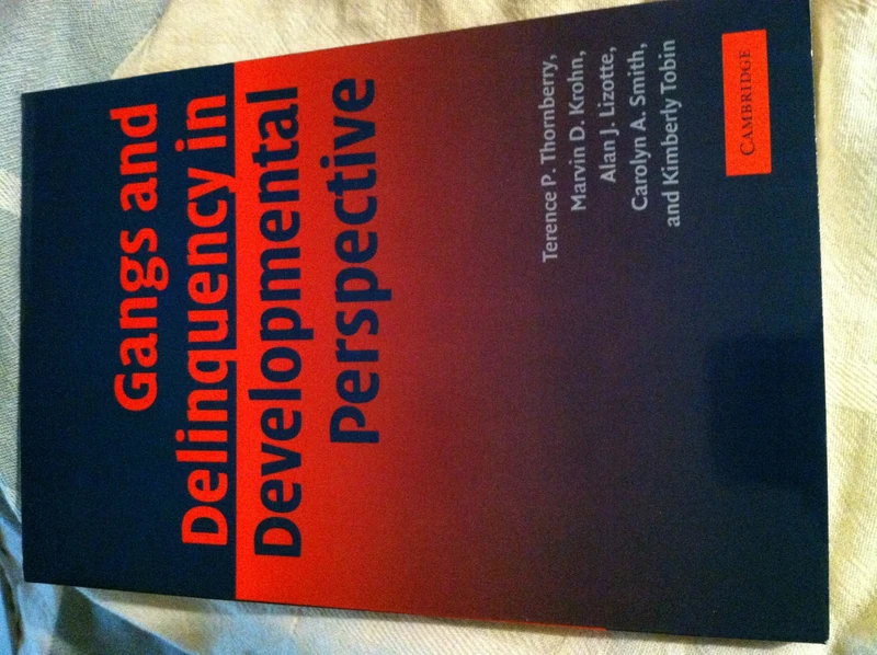 Gangs and Delinquency in Developmental Perspective (Cambridge Studies in Criminology)