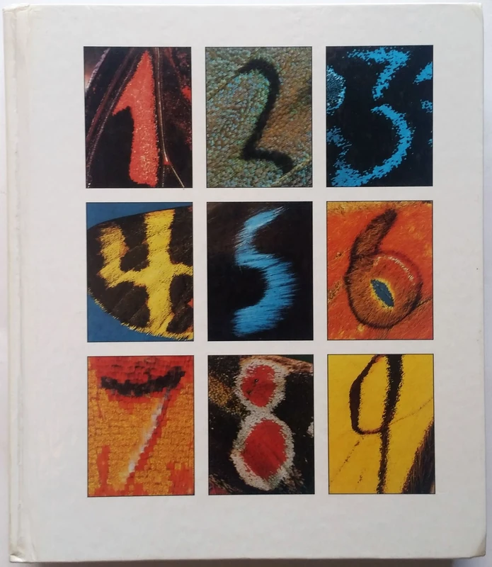 The Nature of Mathematics
