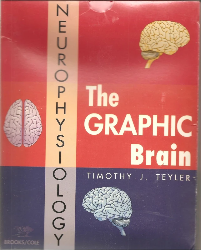 Title: Graphic Brain DOS Professional Version Neurophys - Image 1