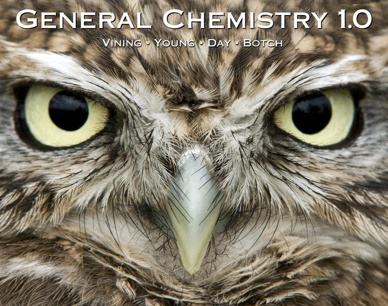 IE E-General Chemistry