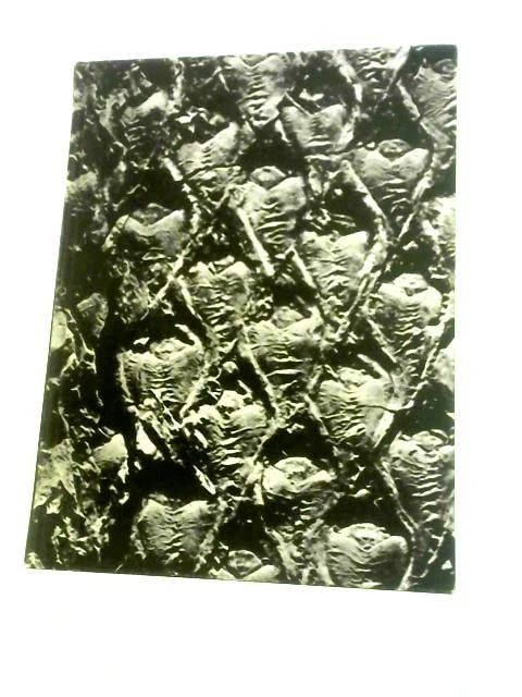 Plant Diversity: An Evolutionary Approach