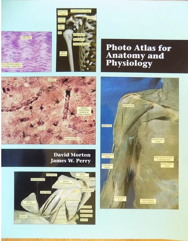 Photo Atlas for Anatomy and Physiology