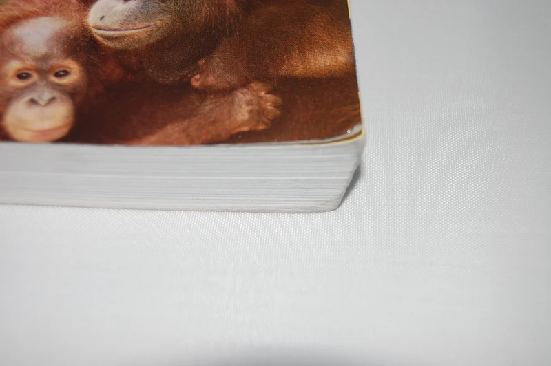 The Essence of Anthropology