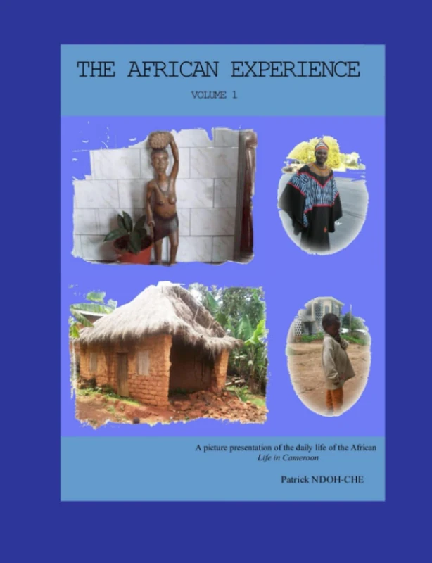 THE AFRICAN EXPERIENCE - VOLUME 1
