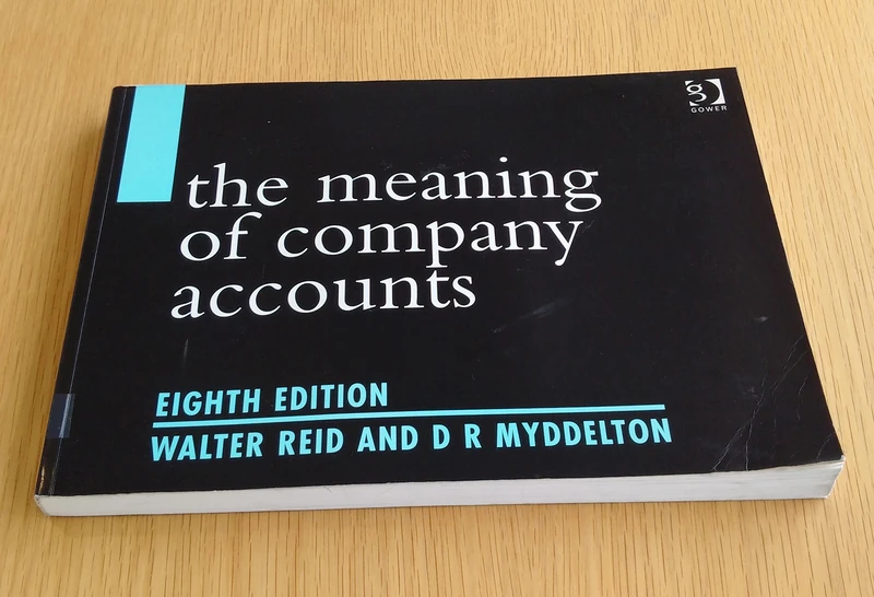 The Meaning of Company Accounts - Image 1