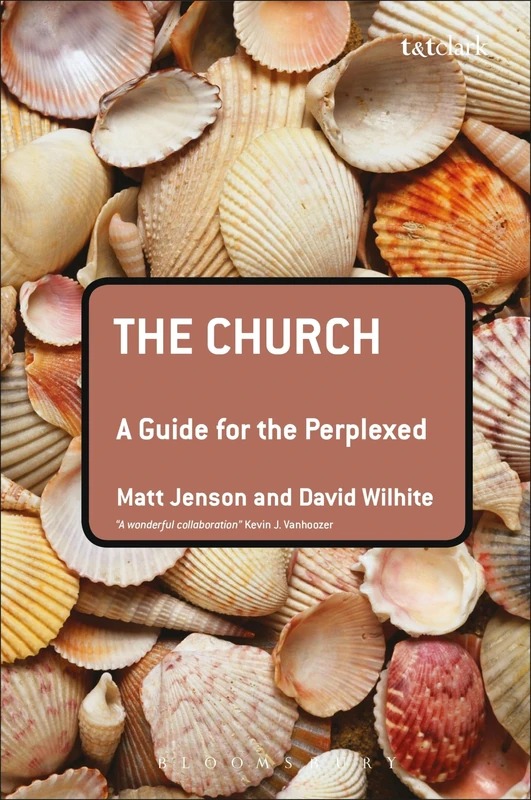 The Church: A Guide for the Perplexed (Guides for the Perplexed)