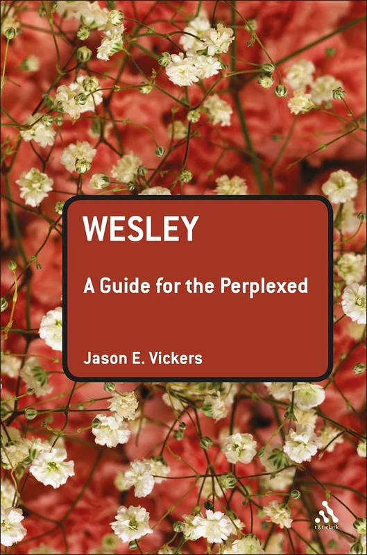 Wesley: A Guide for the Perplexed (Guides for the Perplexed)