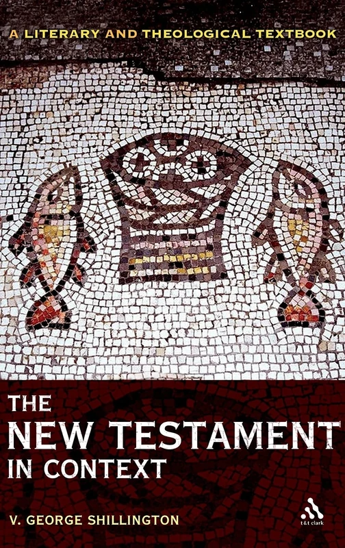 The New Testament in Context: A Literary and Theological Textbook
