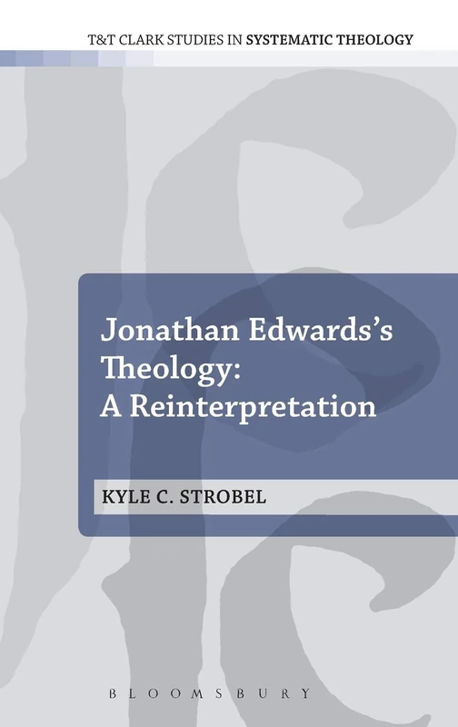 Jonathan Edwards's Theology: A Reinterpretation: No. 19 (T&T Clark Studies in Systematic Theology)