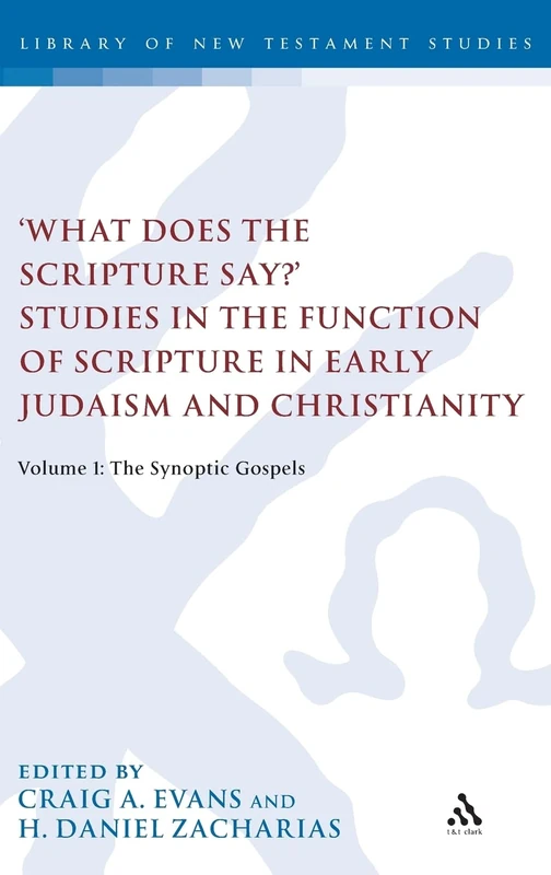 What Does the Scripture Say?' Studies in the Function of Scripture in Early Judaism and Christianity: Volume 1: The Synoptic Gospels (The Library of New Testament Studies)