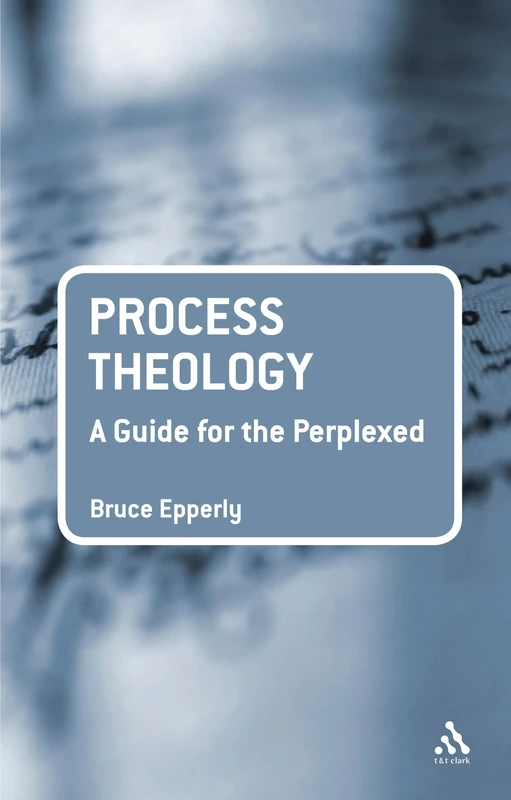 Process Theology: A Guide for the Perplexed (Guides for the Perplexed)