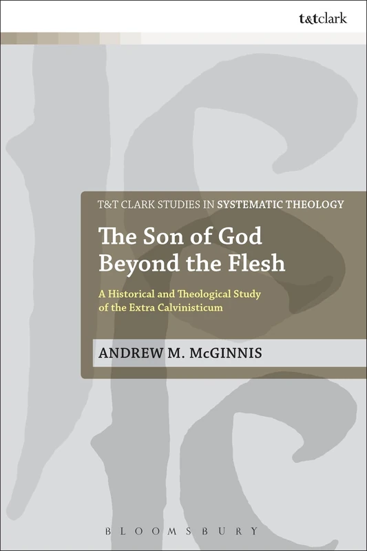 The Son of God Beyond the Flesh: A Historical and Theological Study of the Extra Calvinisticum: 29 (T&T Clark Studies in Systematic Theology)
