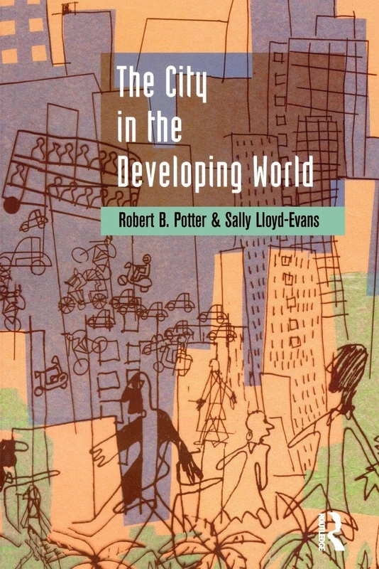 The City in the Developing World