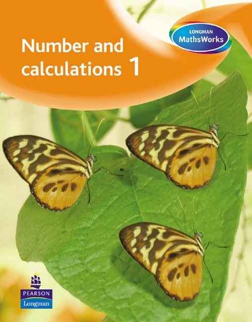 Longman MathsWorks: Year 1 Number Teacher's File
