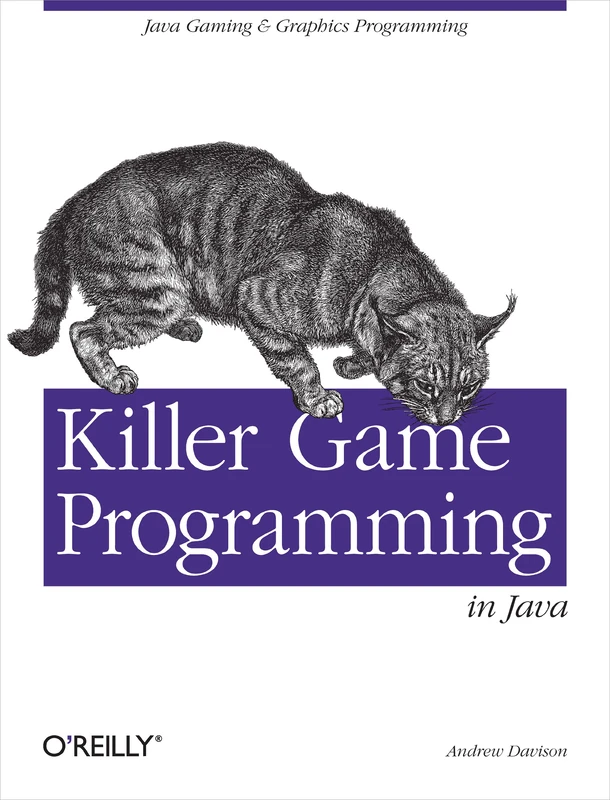 Killer Game Programming in Java (O'Reilly Ser.)