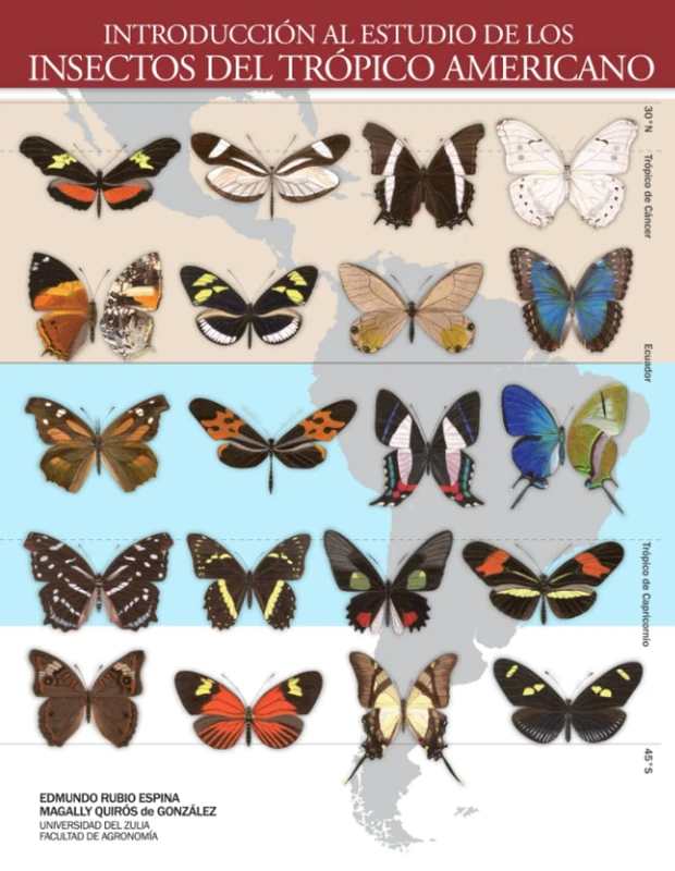 Introducción al Estudio de los Insectos del Trópico Americano - Image 1